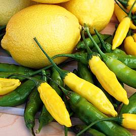 Chilli Pepper Peruvian Lemon Drop - Seeds