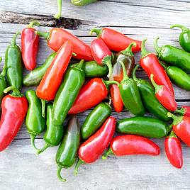 Pepper Chilli Seeds - Jalapeno