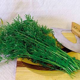 Coriander Confetti - Herb Seeds