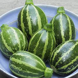 Marrow F1 Piccolo - Seeds