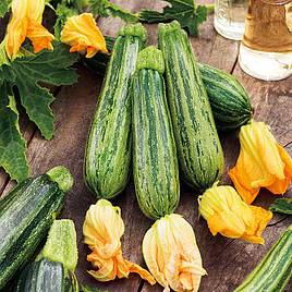 Courgette Seeds - Courcourzelle