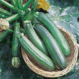 Courgette Seeds - F1 Tarmino