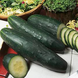 Cucumber Marketmore - Organic Seeds