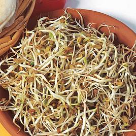 Fenugreek Shoots - Seeds