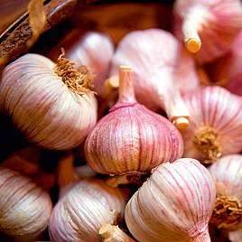 Garlic (Autumn) Eden Rose