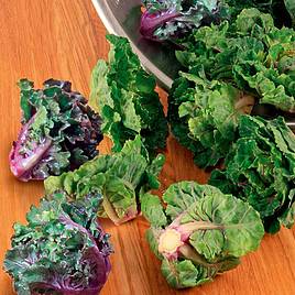 Brussels Sprout Kalette Flower Sprout Mix - Seeds