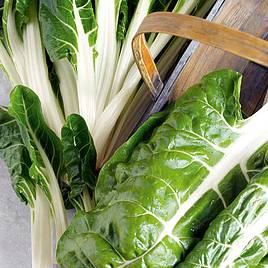 Beet (Leaf) Seeds - Silver or Sea Kale