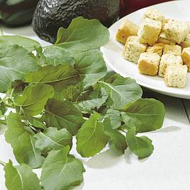 Garlic Kale - Seeds