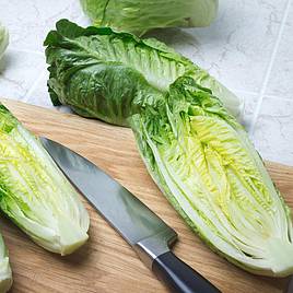 Lettuce Xanadu - Seeds