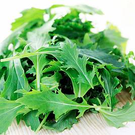Leaf Salad (Organic) Seeds - Mizuna