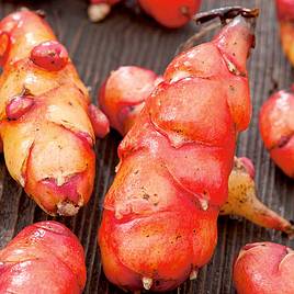 Oca Giggles (Gourmet Roots)