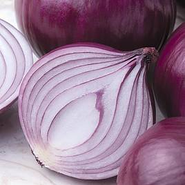 Onion Seeds - F1 Kamal