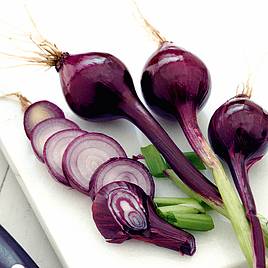Onion Purplette - Seeds