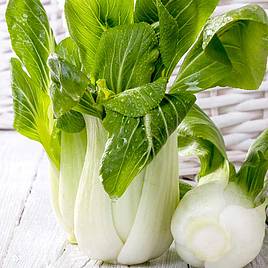 Pak Choi Seeds - F1 Hanakan