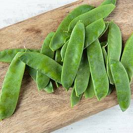 Pea Norli Sugar Pea - Organic Seeds