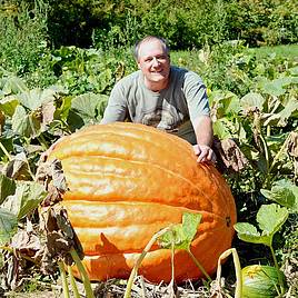 Pumpkin Seeds - Atlantic Giant