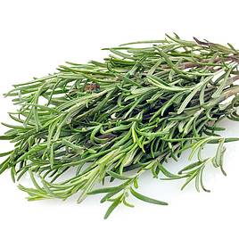 Rosemary - Seeds for Pollinators