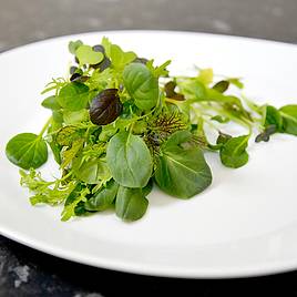 Salad Leaves Oriental Wonders Mix - Seeds