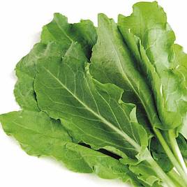 Sorrel - Herb Seeds