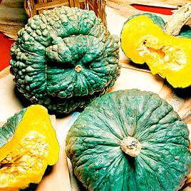Squash Marina di Chioggia - Seeds