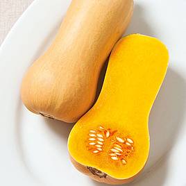 Squash F1 Butterscotch - Seeds