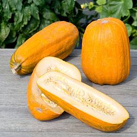 Squash Long Pie - Seeds
