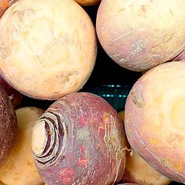 Swede Invitation - Seeds