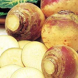 Swede Ruby - Seeds