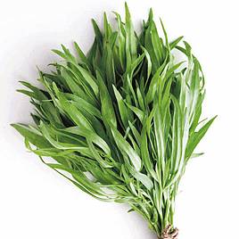 Tarragon Russian - Herb Seeds