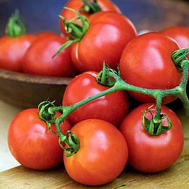 Tomato Summer Frolic (Indeterminate) - Seeds