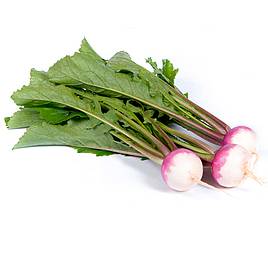 Turnip Sweetbell F1 - Seeds