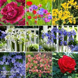 Summer Plant & Bulb Bundle