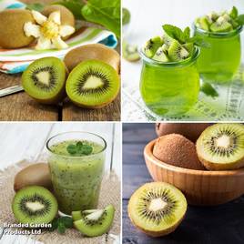 Kiwi Growers Choice