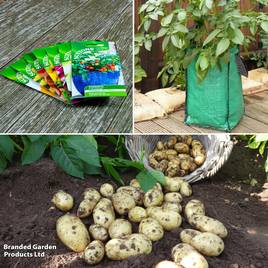 Potato Charlotte Suttons Growing Kit