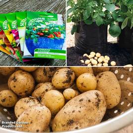 Potato Maris Piper Suttons Patio Kit