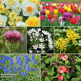New Spring Spectacular Colour Collection