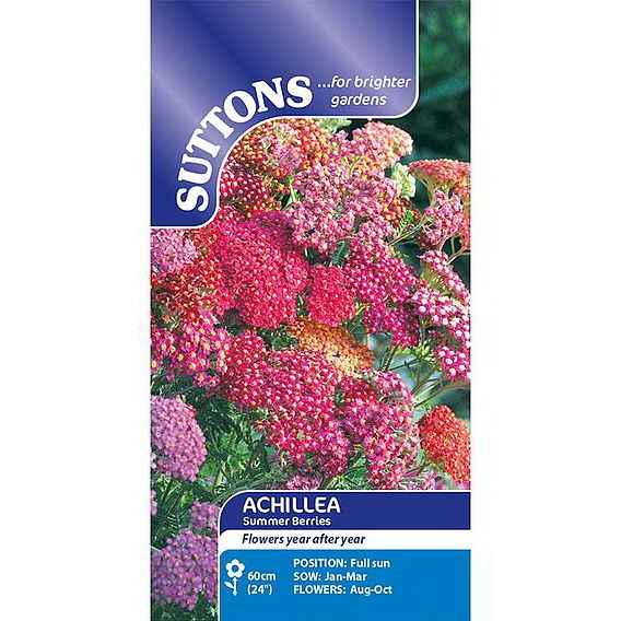 Achillea Seeds - Summer Berries