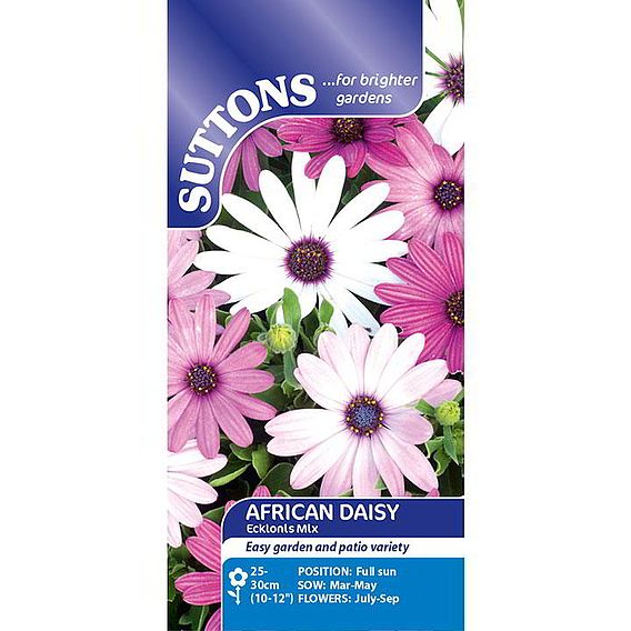 African Daisy Seeds - Ecklonis Mix