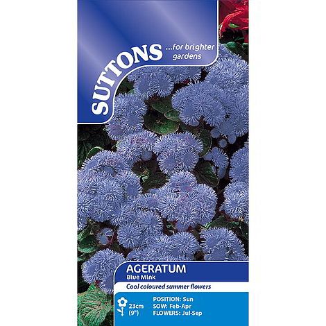 Ageratum Seeds - Blue Mink