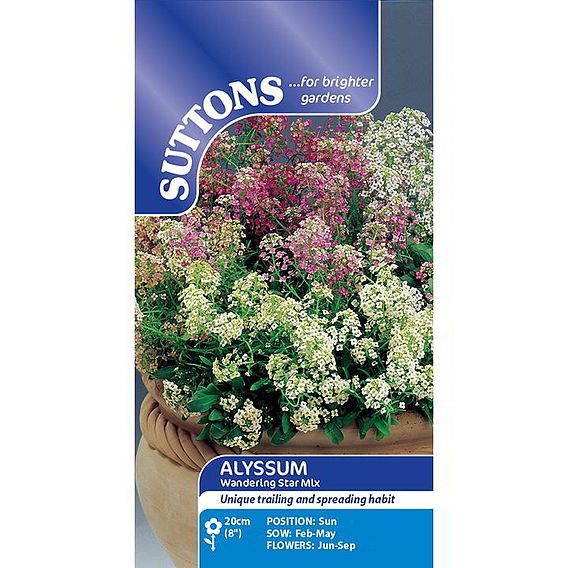 Alyssum 'Wandering Star Mix' - Seeds