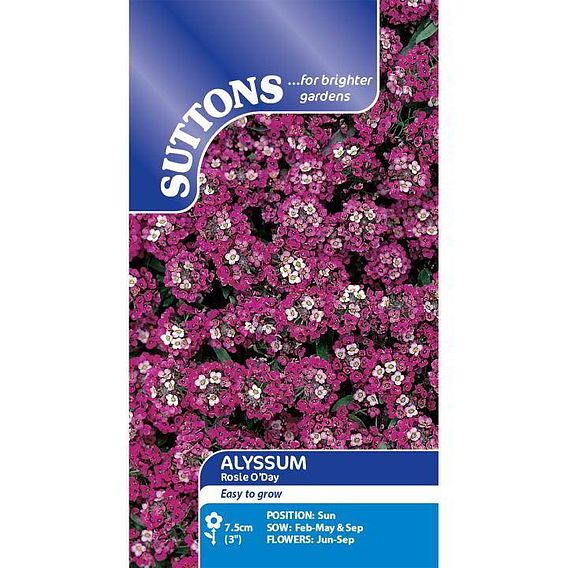 Alyssum 'Rosie O'Day' - Seeds