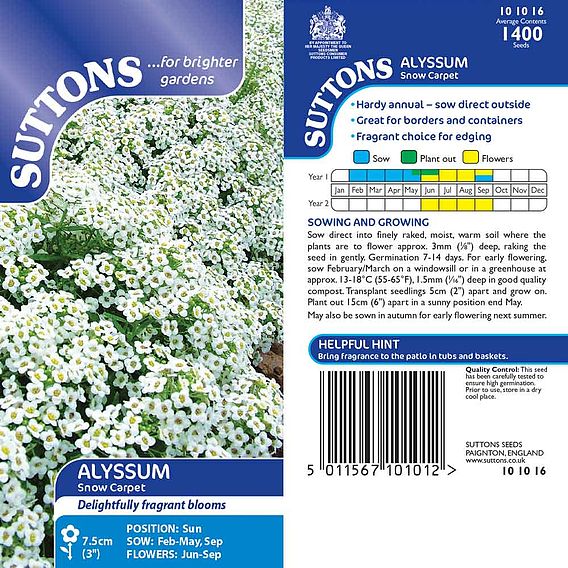 Alyssum 'Snow Carpet (Improved Strain)' - Seeds