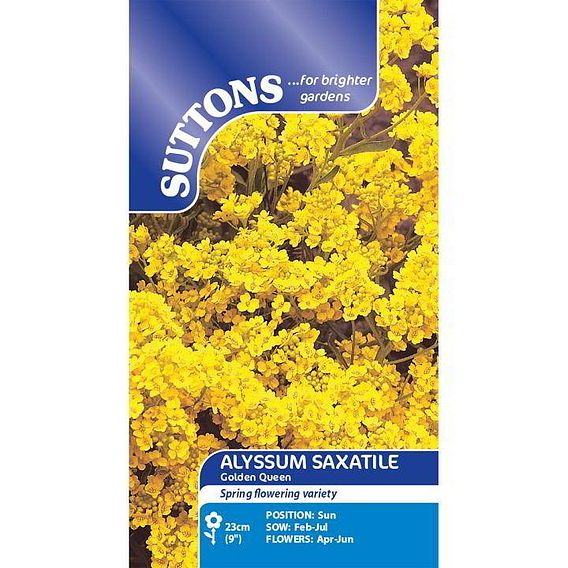 Alyssum saxatile Seeds - Golden Queen