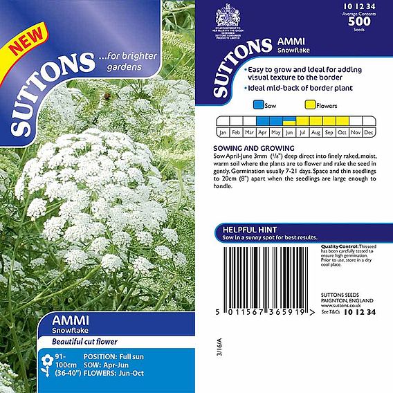 Ammi 'Snowflake' - Seeds