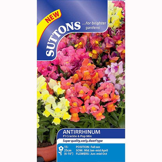 Antirrhinum F1 'Crackle & Pop Mix' - Seeds