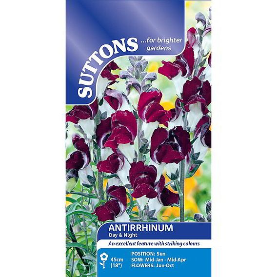Antirrhinum 'Day & Night' - Seeds