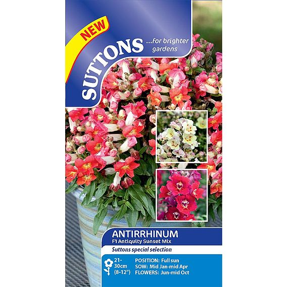 Antirrhinum 'Antiquity Sunset Mix' - Seeds