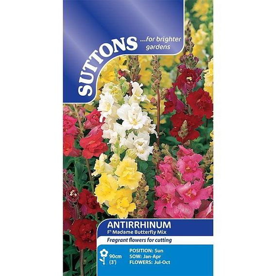 Antirrhinum Seeds - F1 Madame Butterfly Mix