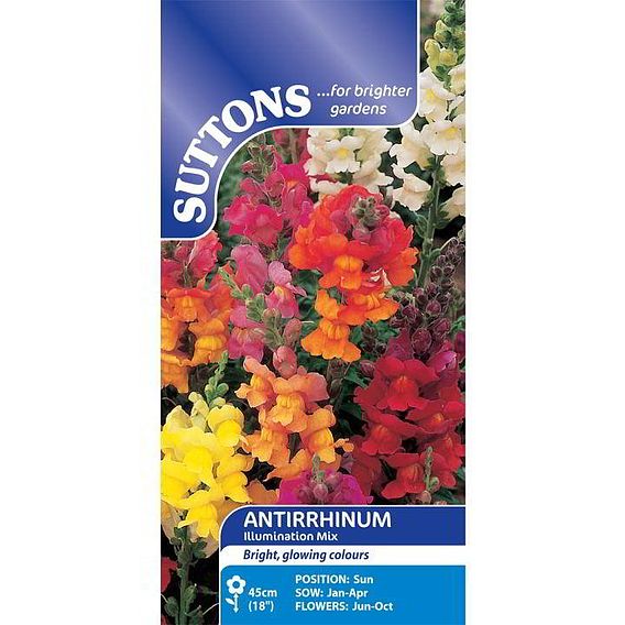 Antirrhinum 'Illumination Mix' - Seeds