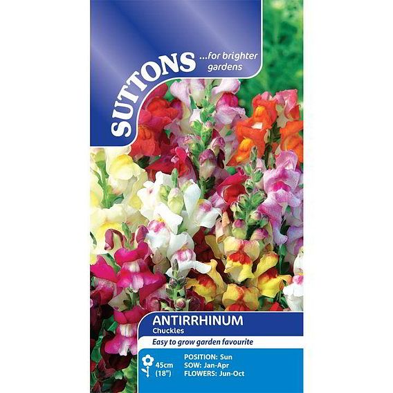 Antirrhinum Seeds - Chuckles